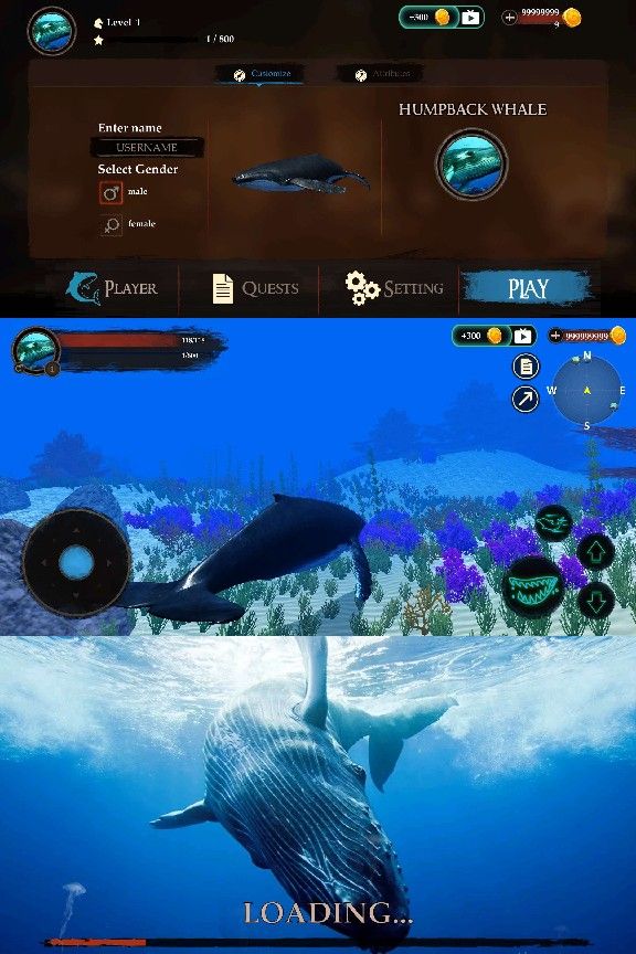 座头鲸模拟器 解锁无限金币