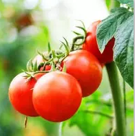 通过微信头像判断一个人的性格 第6张插图