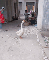 今天有什么好笑的_第一期 第8张插图