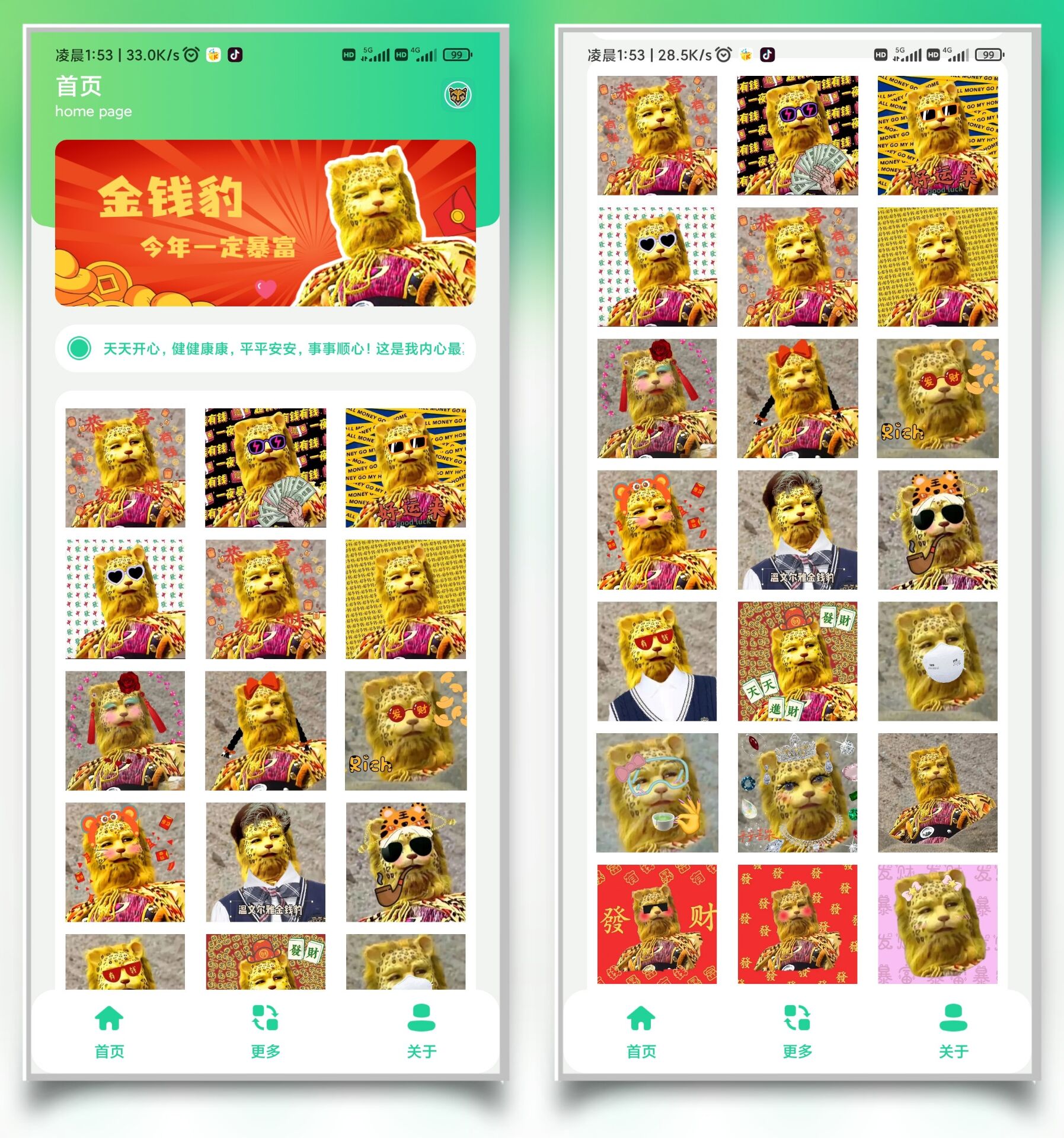 金钱豹头像合集 第3张插图