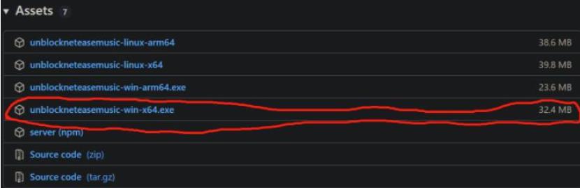 PC端解锁网易云灰色音乐教程分享 第6张插图