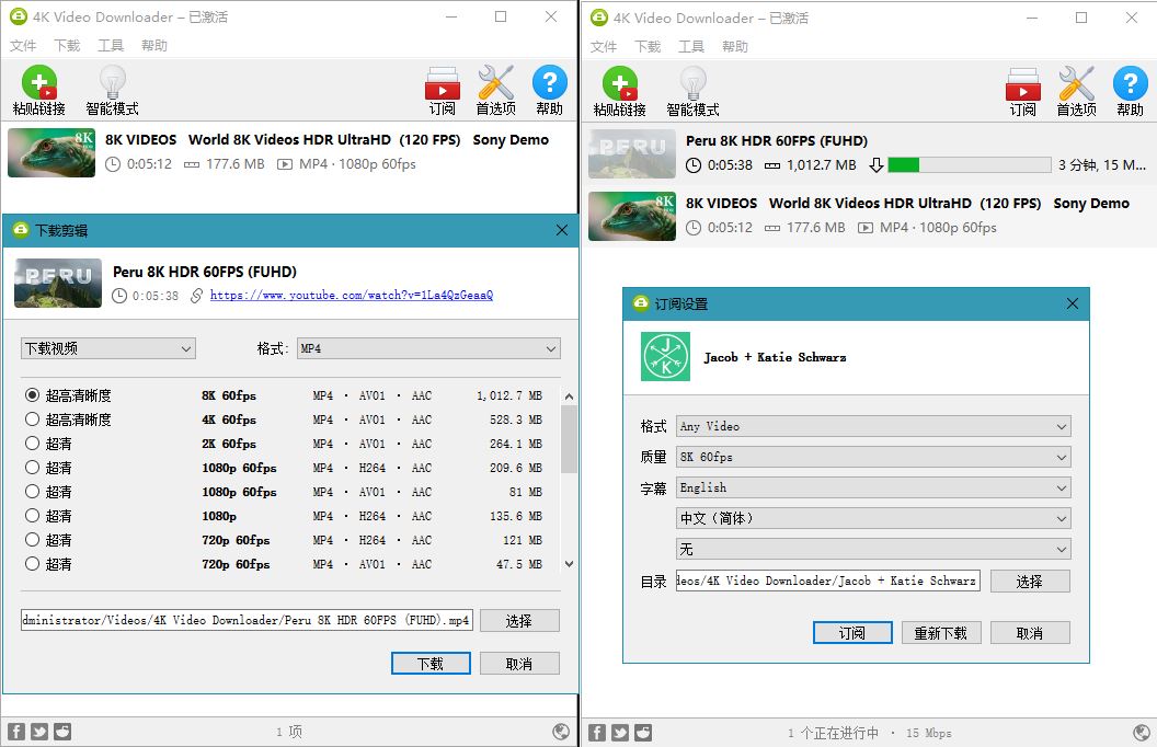 4K Video Downloader v4.20.1 第5张插图 4K Video Downloader v4.20.1 第5张插图