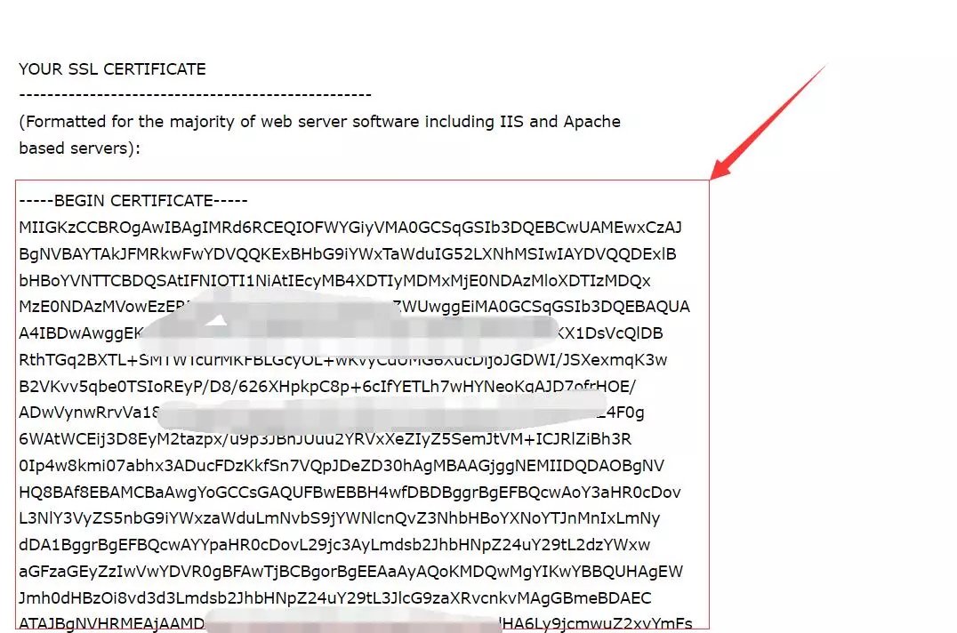 AlphaSSL泛域名证书申请及使用 第8张插图