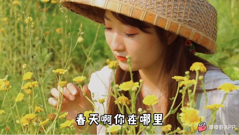 音乐推荐【老男孩】--阿九桶的春天 第3张插图