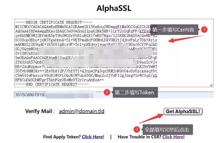 AlphaSSL泛域名证书申请及使用 第6张插图