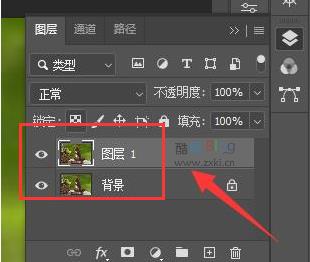 Ps如何制作线稿图片？Ps制作线稿图片的方法 第3张插图