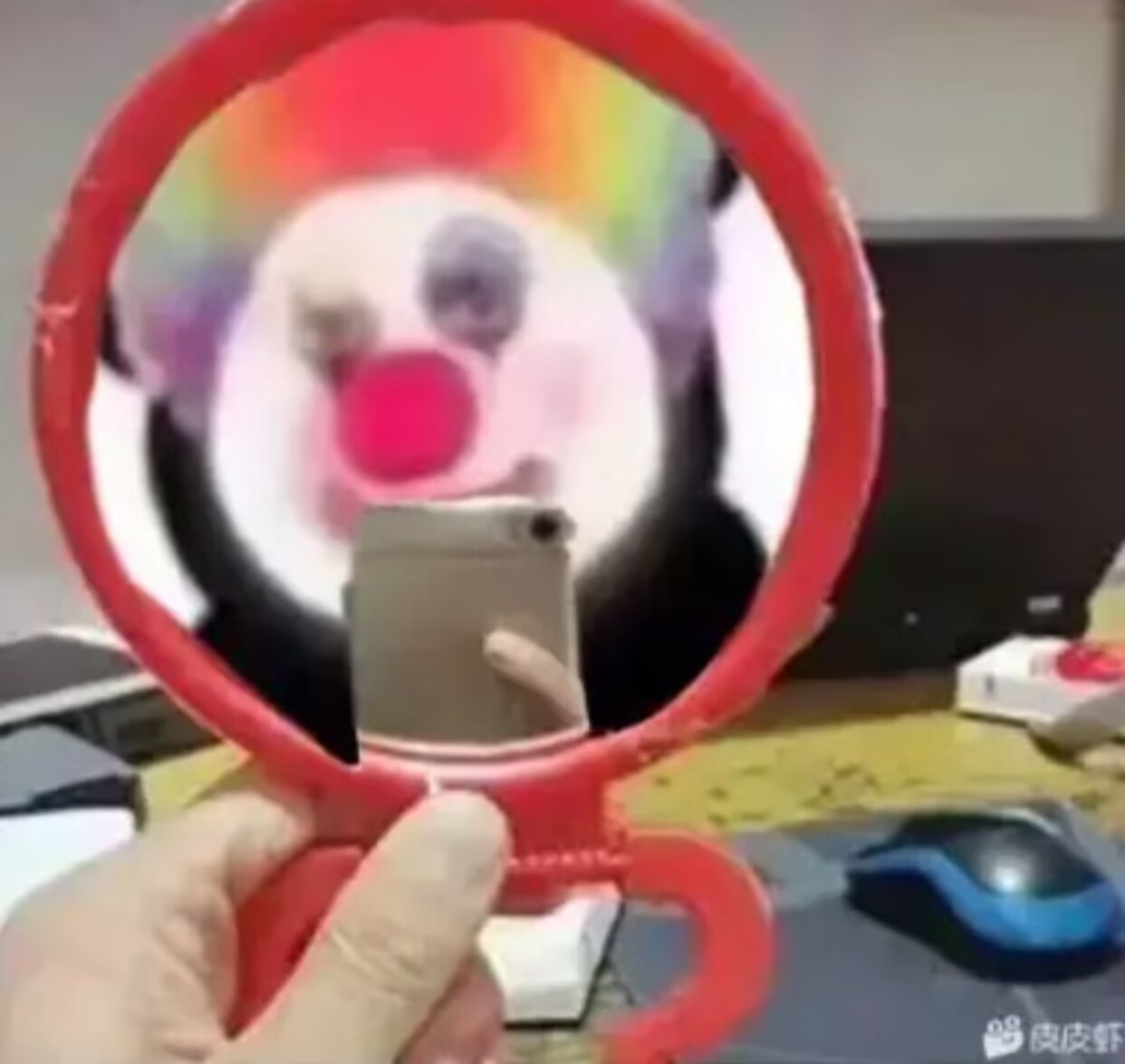 明天就是11月11号光棍节了 第5张插图 明天就是11月11号光棍节了 第5张插图