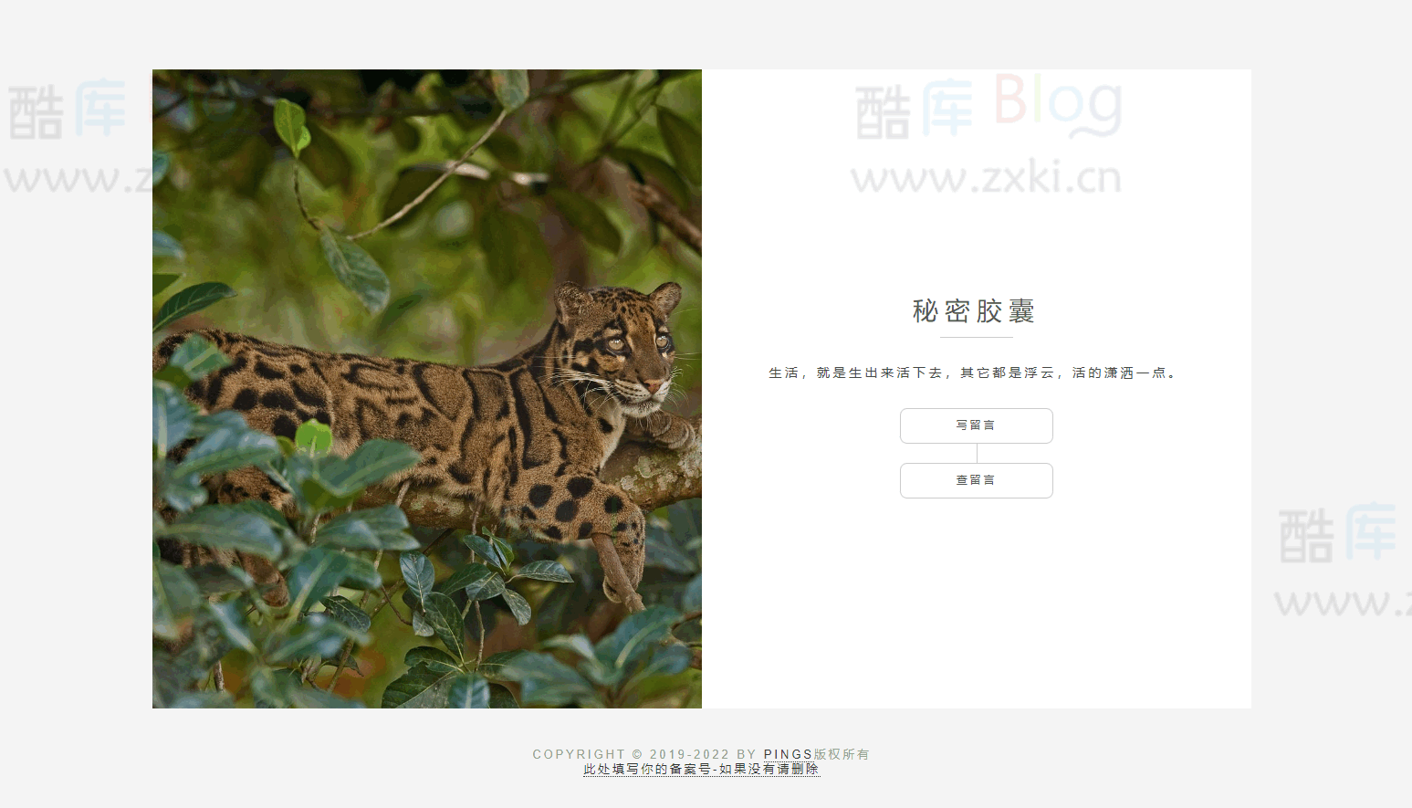 秘密胶囊开源版-最新匿名留言程序源码 第3张插图