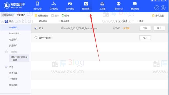 2023苹果IOS16降级15.6RC版教程 第9张插图