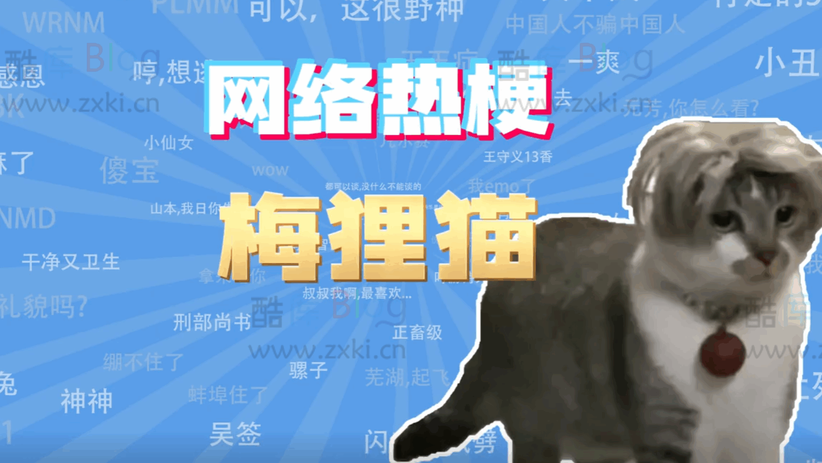 amagi梅狸猫是什么梗？ 第3张插图