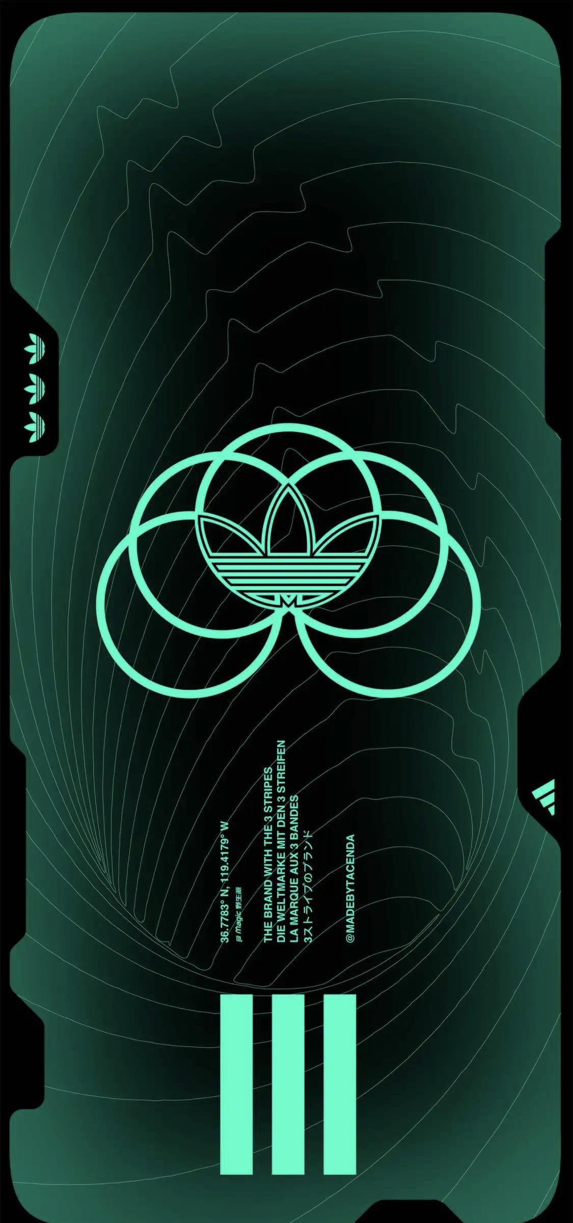 苹果开灯特效高清壁纸(苹果开灯特效壁纸原图) 第13张插图