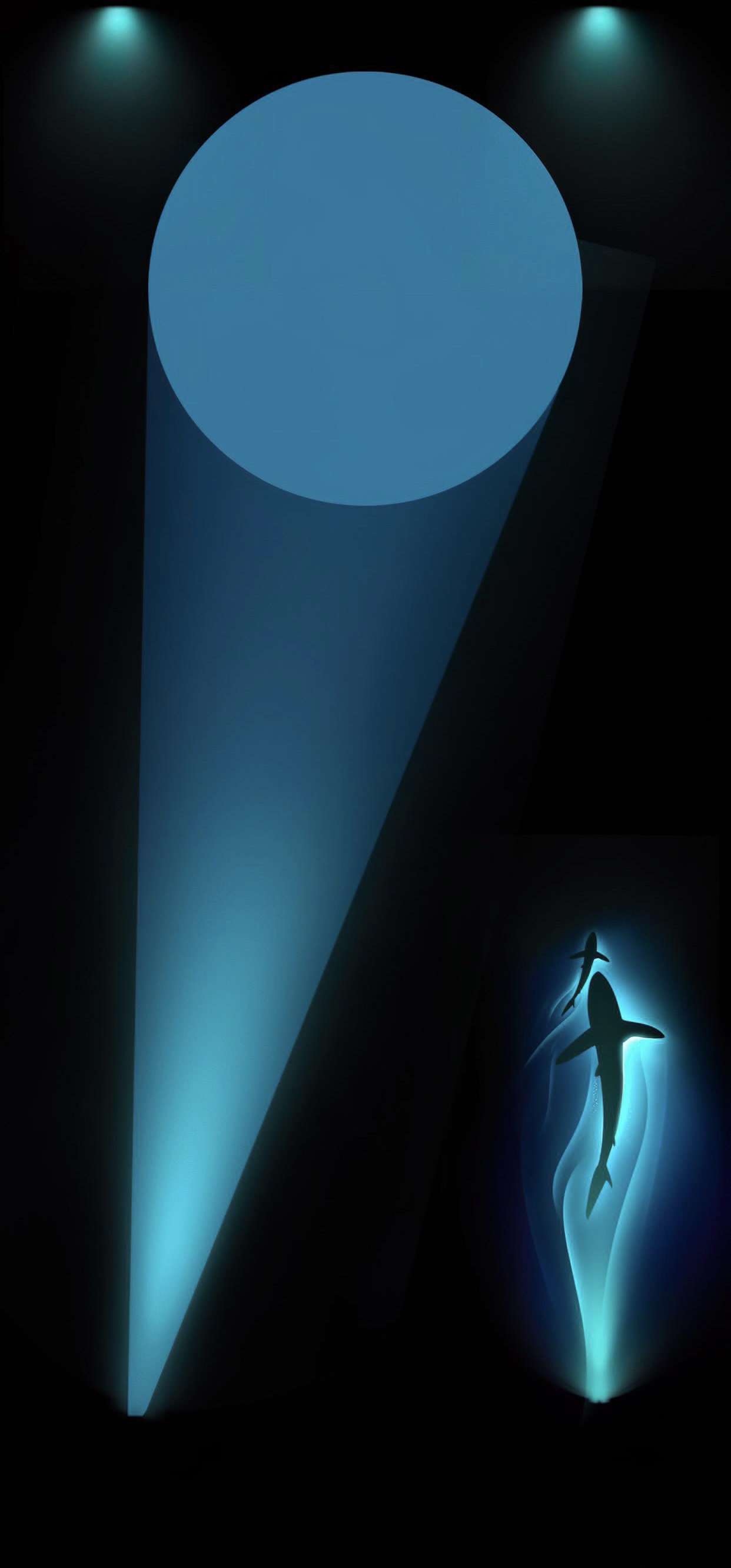 苹果开灯特效高清壁纸(苹果开灯特效壁纸原图) 第20张插图