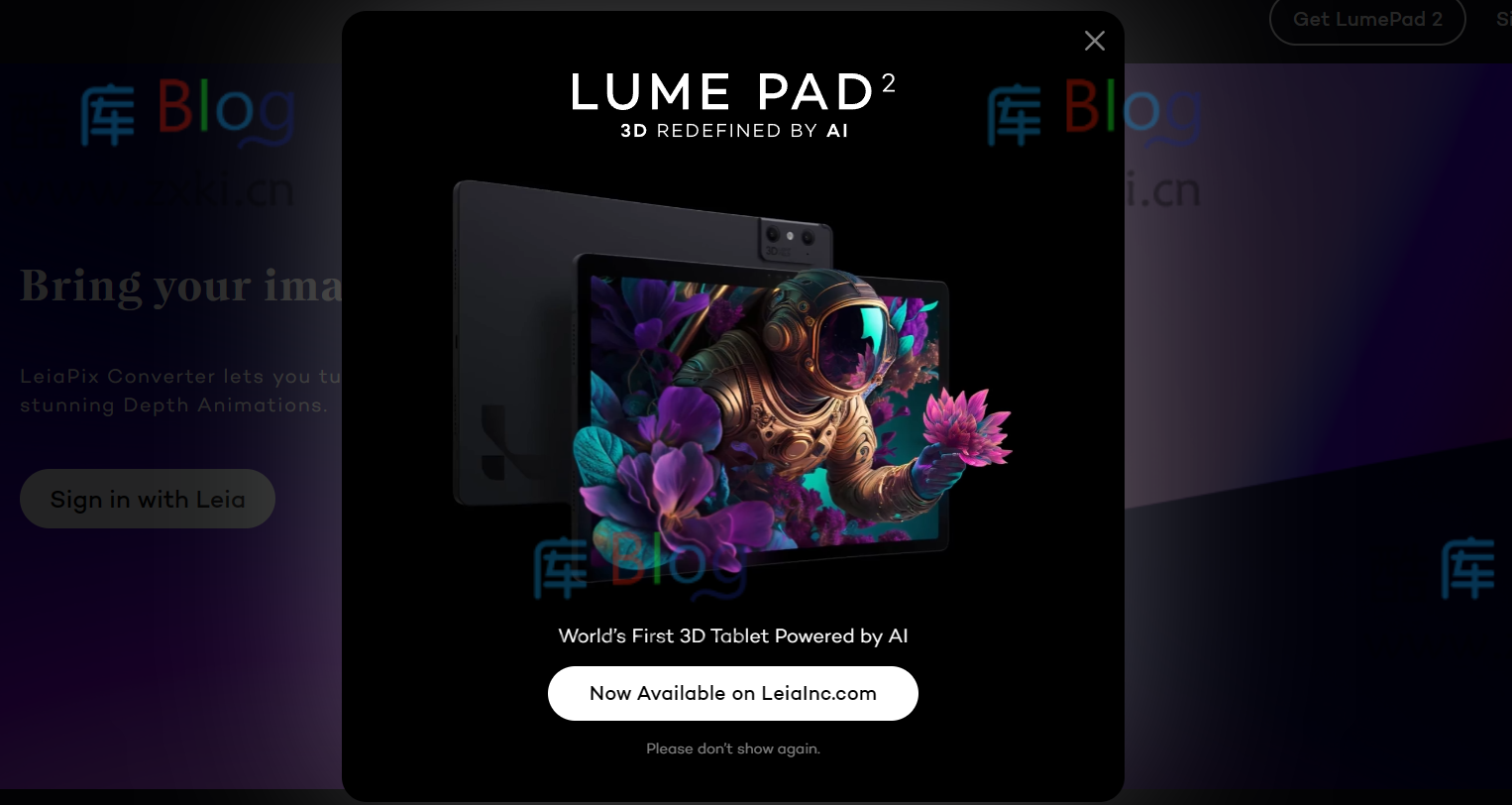 LeiaPix Converter 转换2D图片为3D动态效果，让你的照片生动立体！ 第3张插图