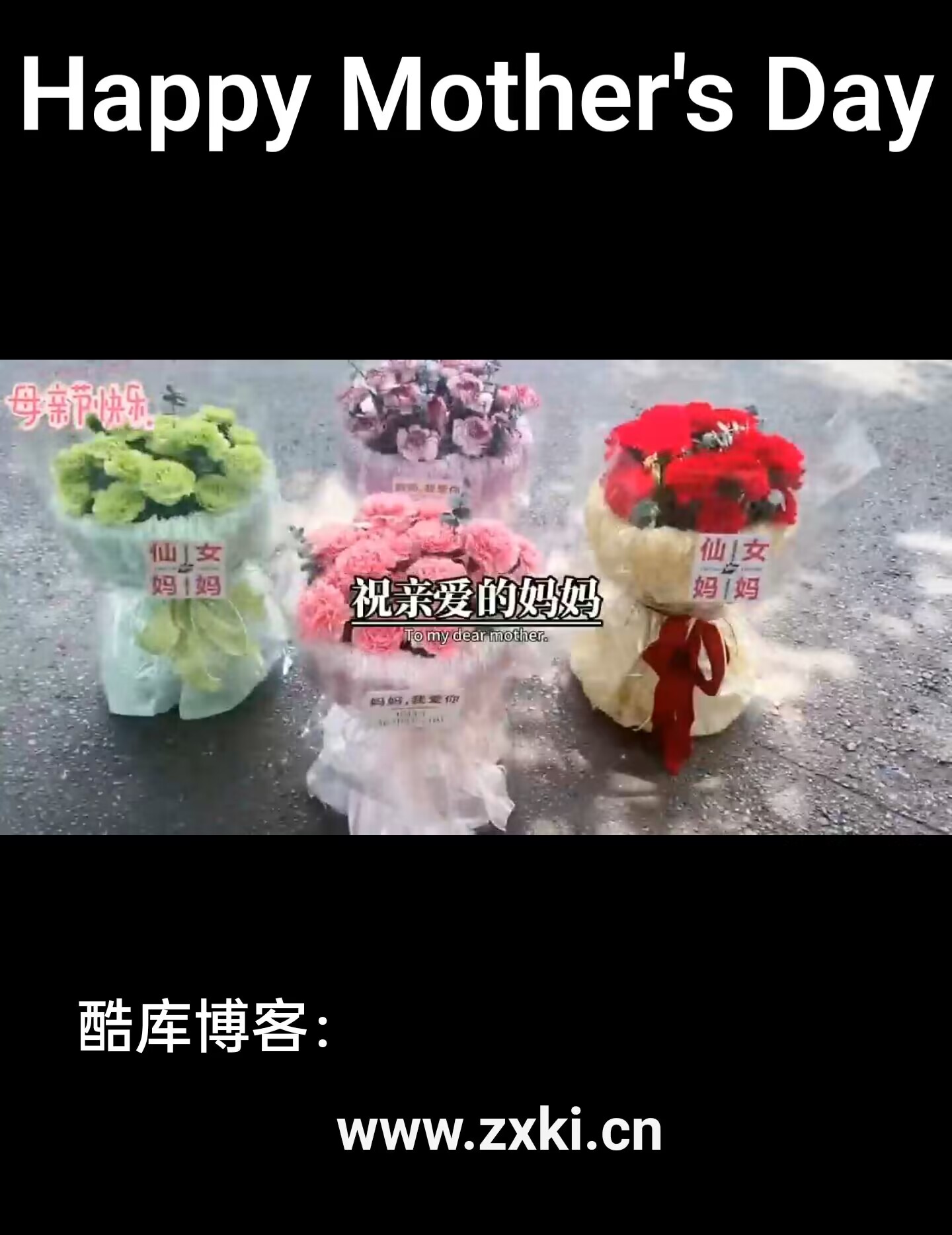 母亲节祝福网页生成器，自定义祝福语和姓名功能的源码 第6张插图