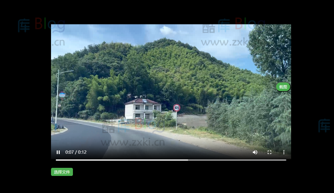 简单H5视频播放器源码_支持本地选择视频播放，带截图功能 第3张插图