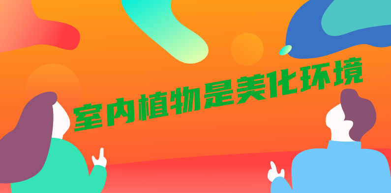 如何种植一盆简单的室内植物——仙人掌 第5张插图 如何种植一盆简单的室内植物——仙人掌 第5张插图