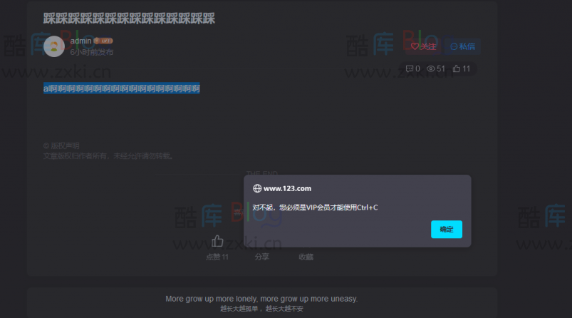 WordPress使用Zibll主题判断用户是否拥有复制权限插件 第3张插图