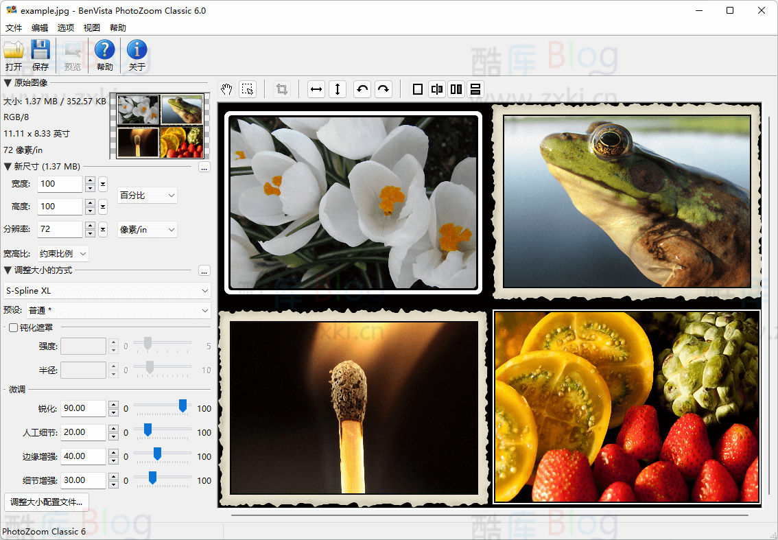 价值 150 美元的图片无损放大软件 PhotoZoom 限时免费 第7张插图