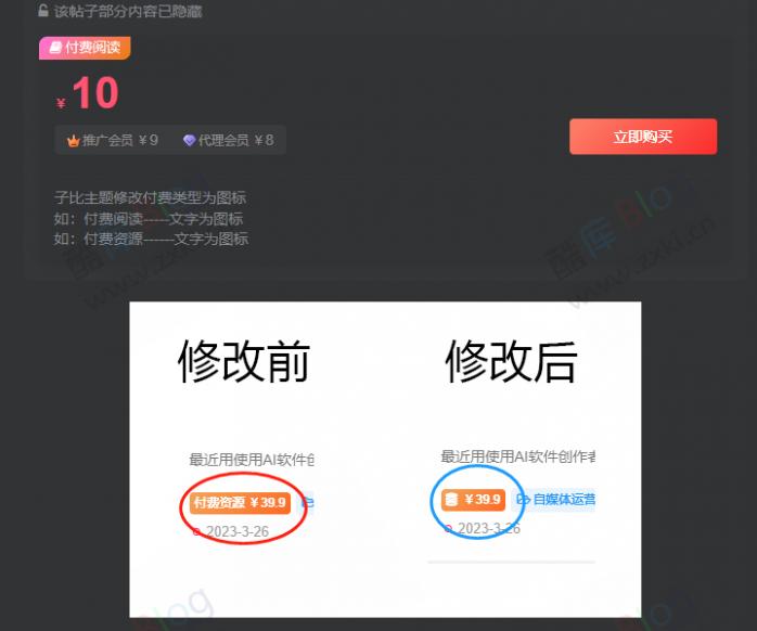 WordPress子比主题修改文章付费文字转为图标样式 第3张插图