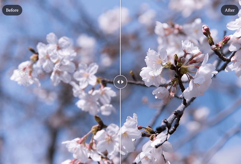 使用 SuperImage 智能 AI 离线放大图片,支持PC和安卓 第5张插图 使用 SuperImage 智能 AI 离线放大图片,支持PC和安卓 第5张插图