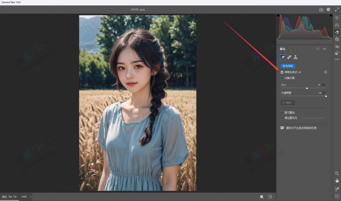 正版免费AdobeCameraRaw x64 16.4版本需要配合PS