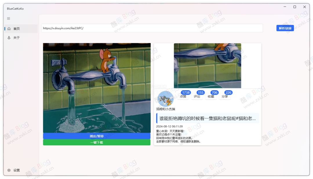 BlueCatKoKo - 抖音/快手视频下载工具 第3张插图